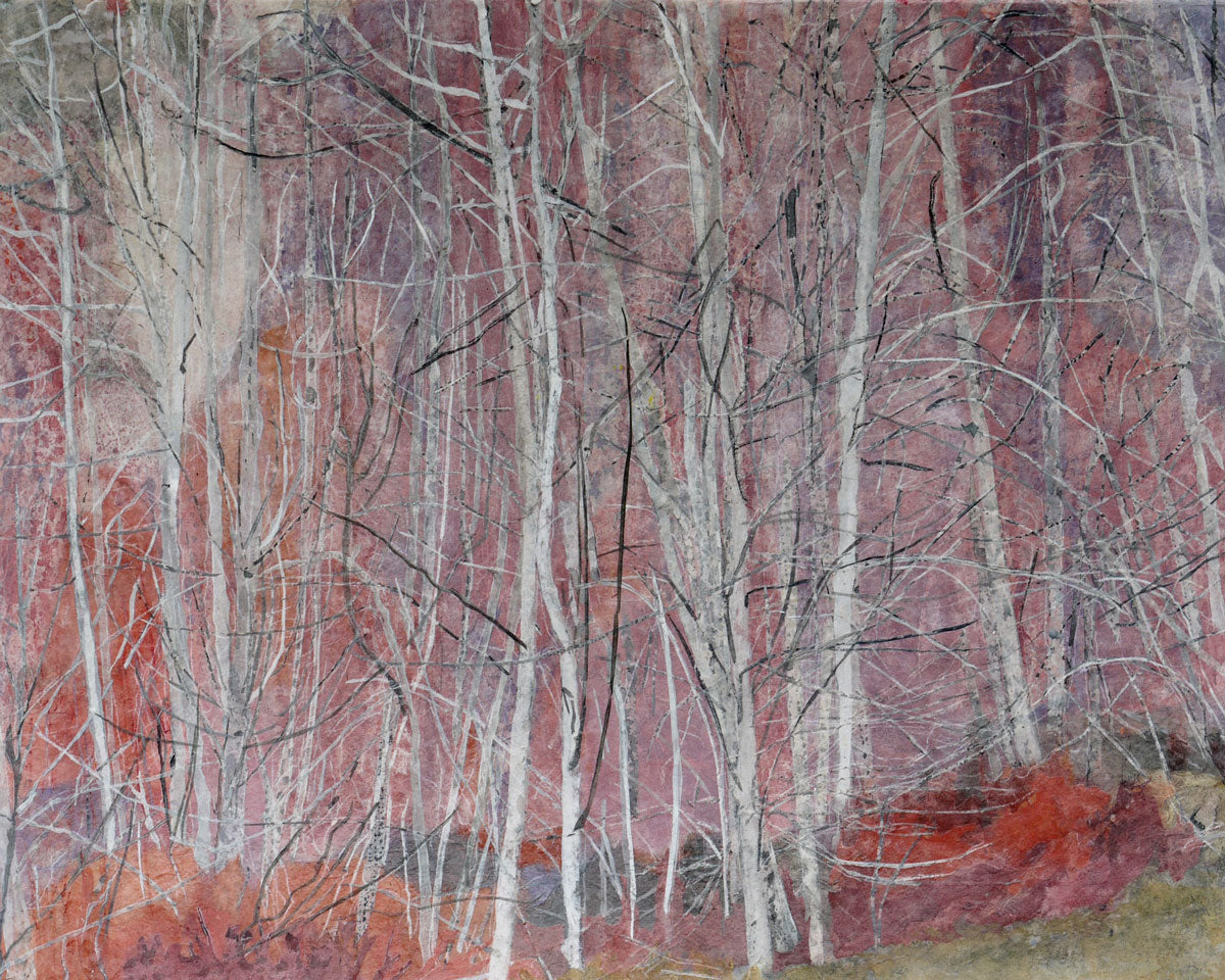 Trees Over by Stowel Lake in Autumn