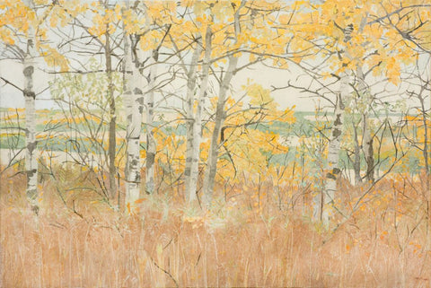 Autumn Aspens