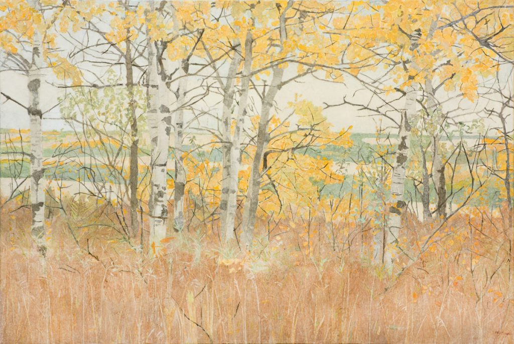 Autumn Aspens