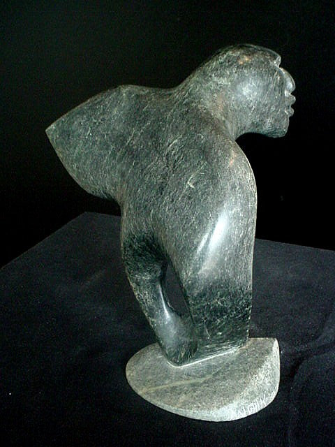 Man Bird